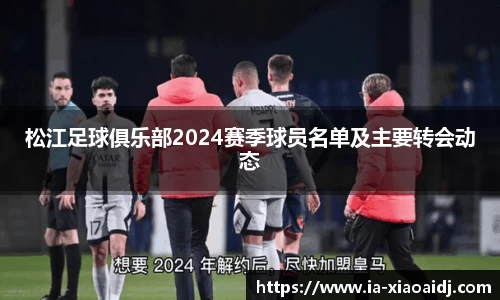 松江足球俱乐部2024赛季球员名单及主要转会动态
